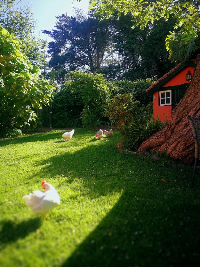 Jardines De Hortensia - Vacation Home Tenerife La Laguna  Bagian luar foto