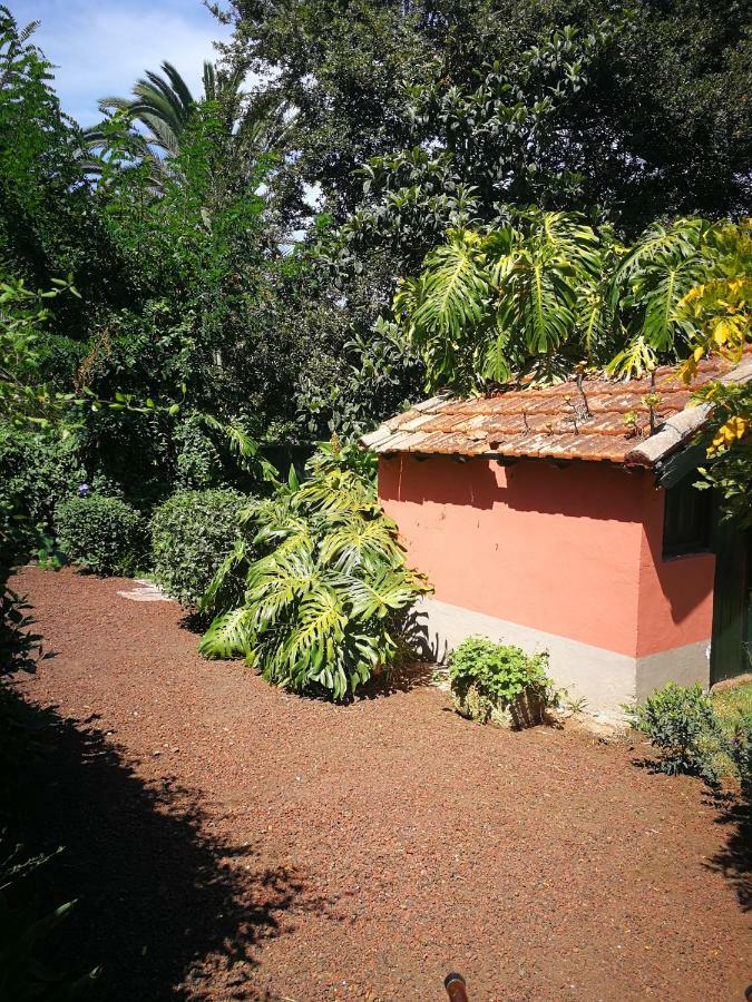 Jardines De Hortensia - Vacation Home Tenerife La Laguna  Bagian luar foto