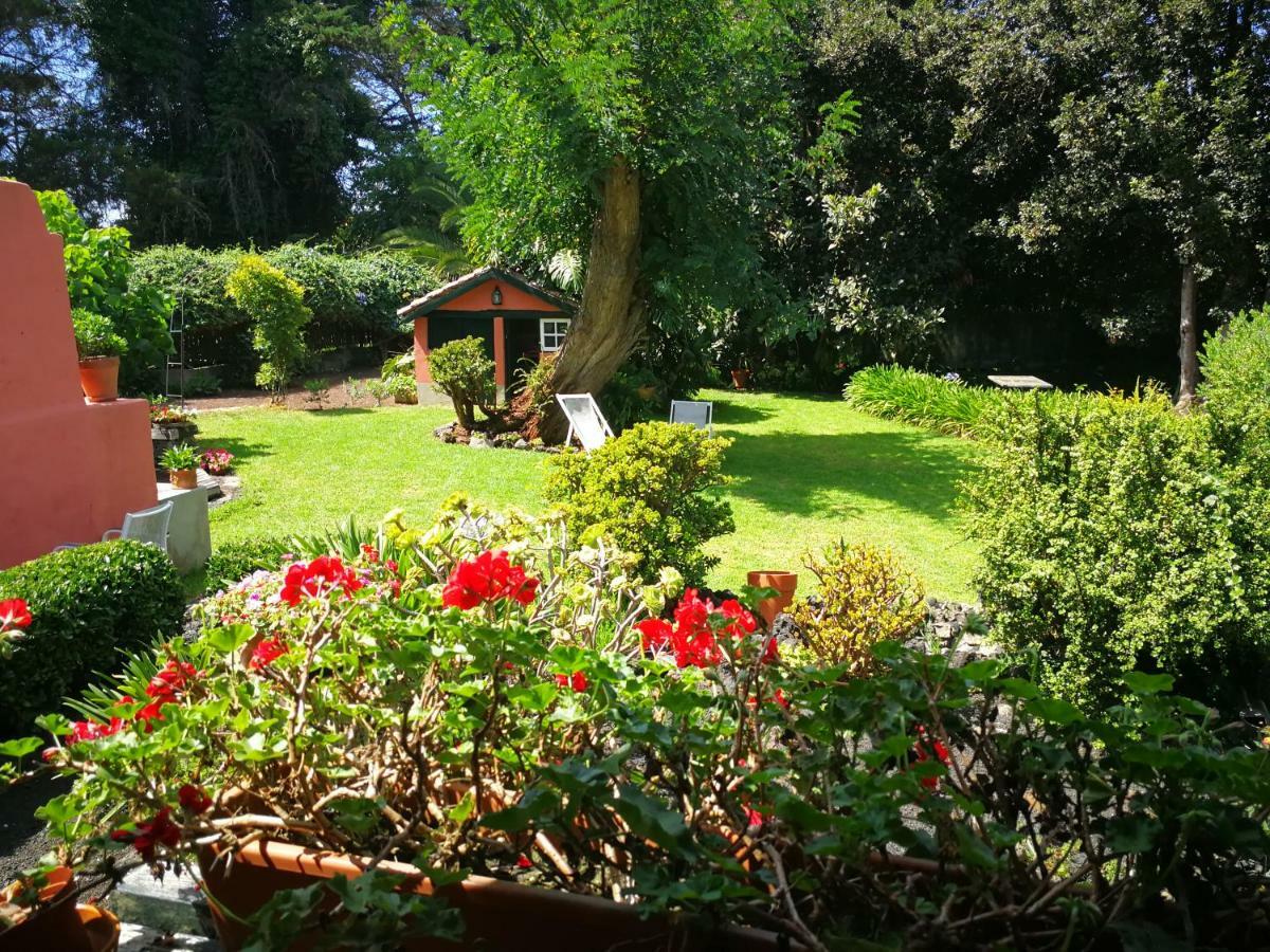 Jardines De Hortensia - Vacation Home Tenerife La Laguna  Bagian luar foto