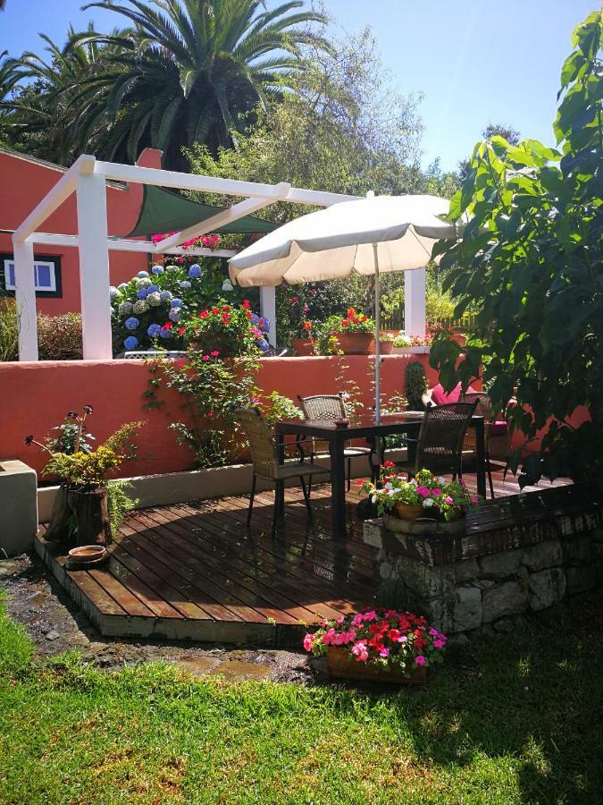 Jardines De Hortensia - Vacation Home Tenerife La Laguna  Bagian luar foto