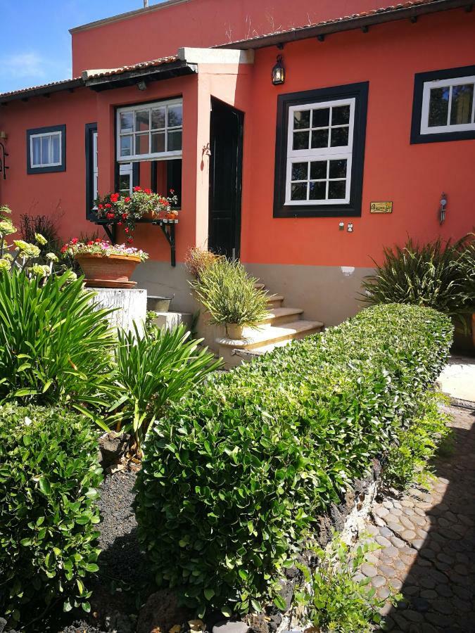 Jardines De Hortensia - Vacation Home Tenerife La Laguna  Bagian luar foto