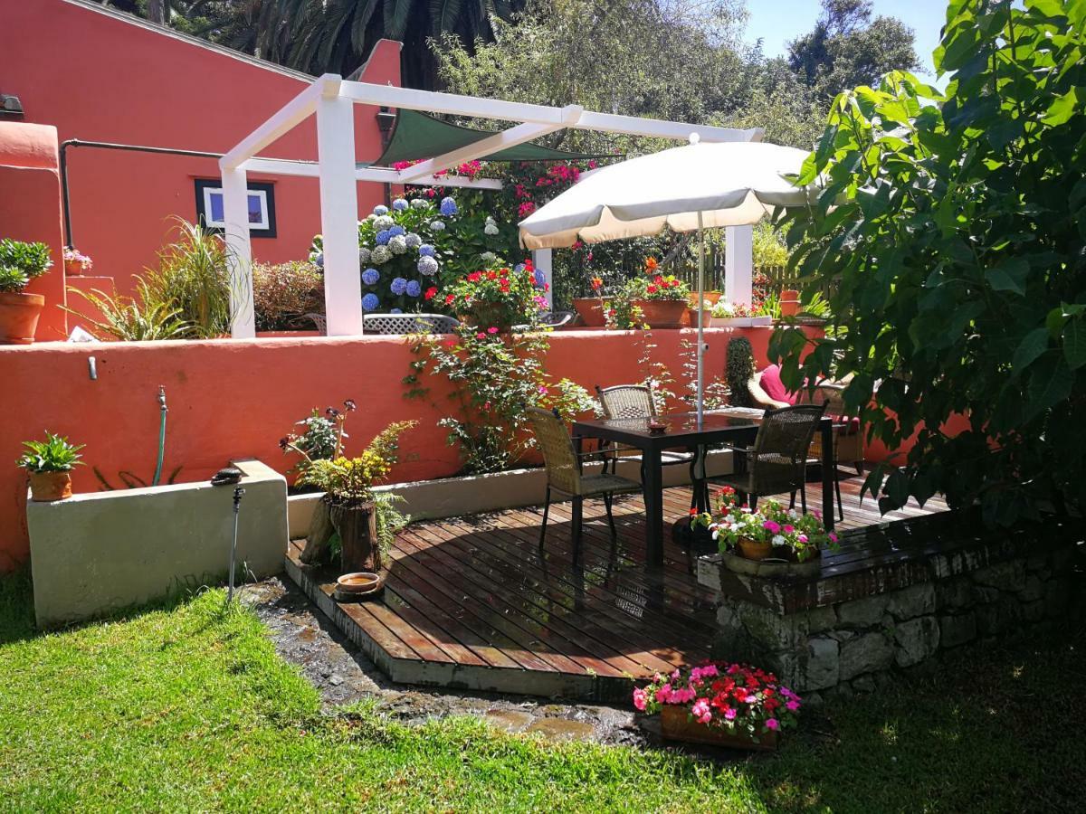 Jardines De Hortensia - Vacation Home Tenerife La Laguna  Bagian luar foto